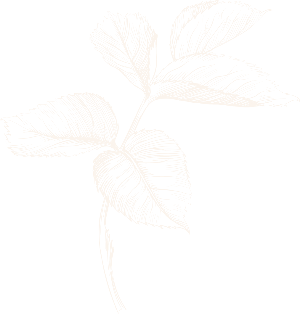 deco leaf