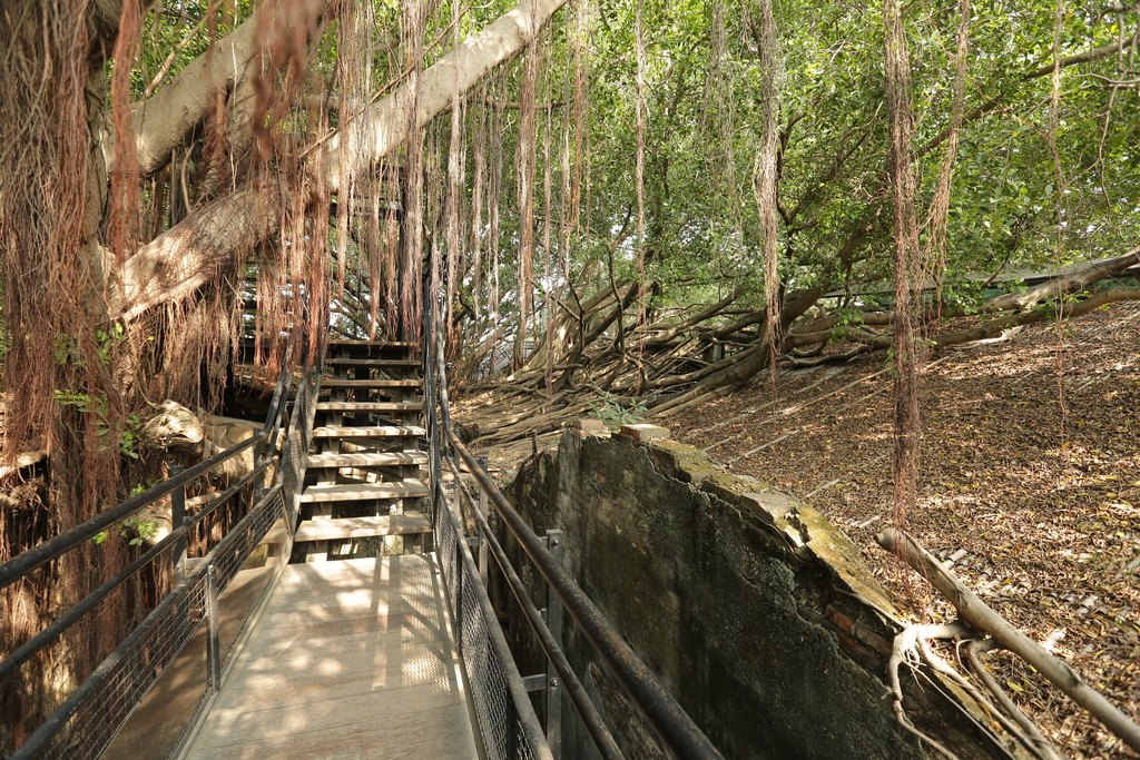 10147_1024x683_觀旅局15-安平樹屋CSG_4085