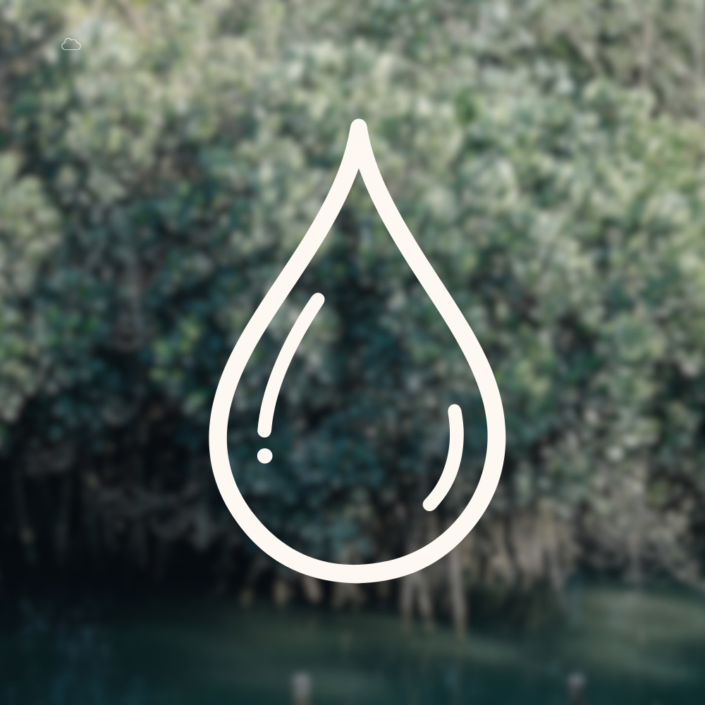 排水水質